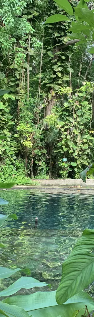 Ojo de Agua – eine natürliche Quelle